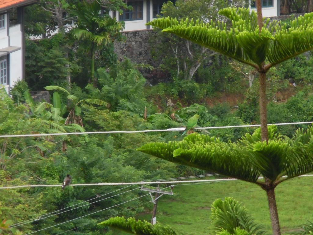Mount View Villa Resort Mirissa Exterior photo
